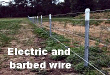 Electric and barbed wire fencing.