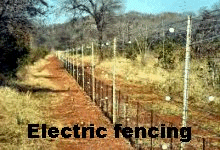 Eclectic fencing with insulators.