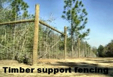 Timber supported fenced are threatened by fire and termites.