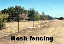 Wire mesh fencing is expensive.
