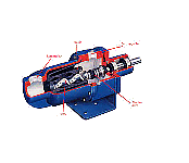 Mono pump cutaway